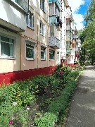 ������ �������� , ����