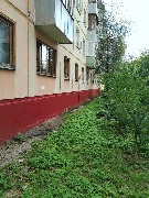 ������ �������� , ����