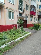 ������ �������� , ����